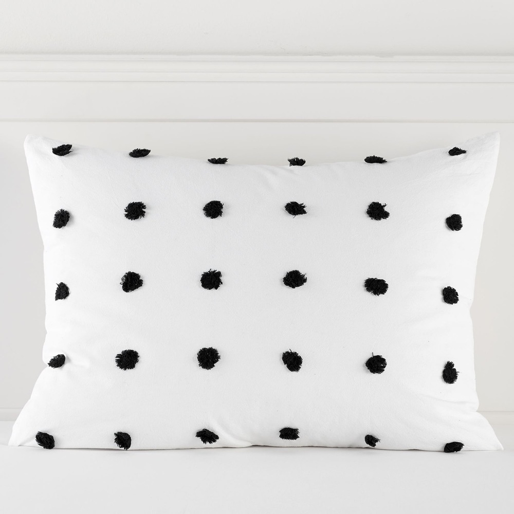 Pottery Barn Teen Twin XL duvet cover and sham